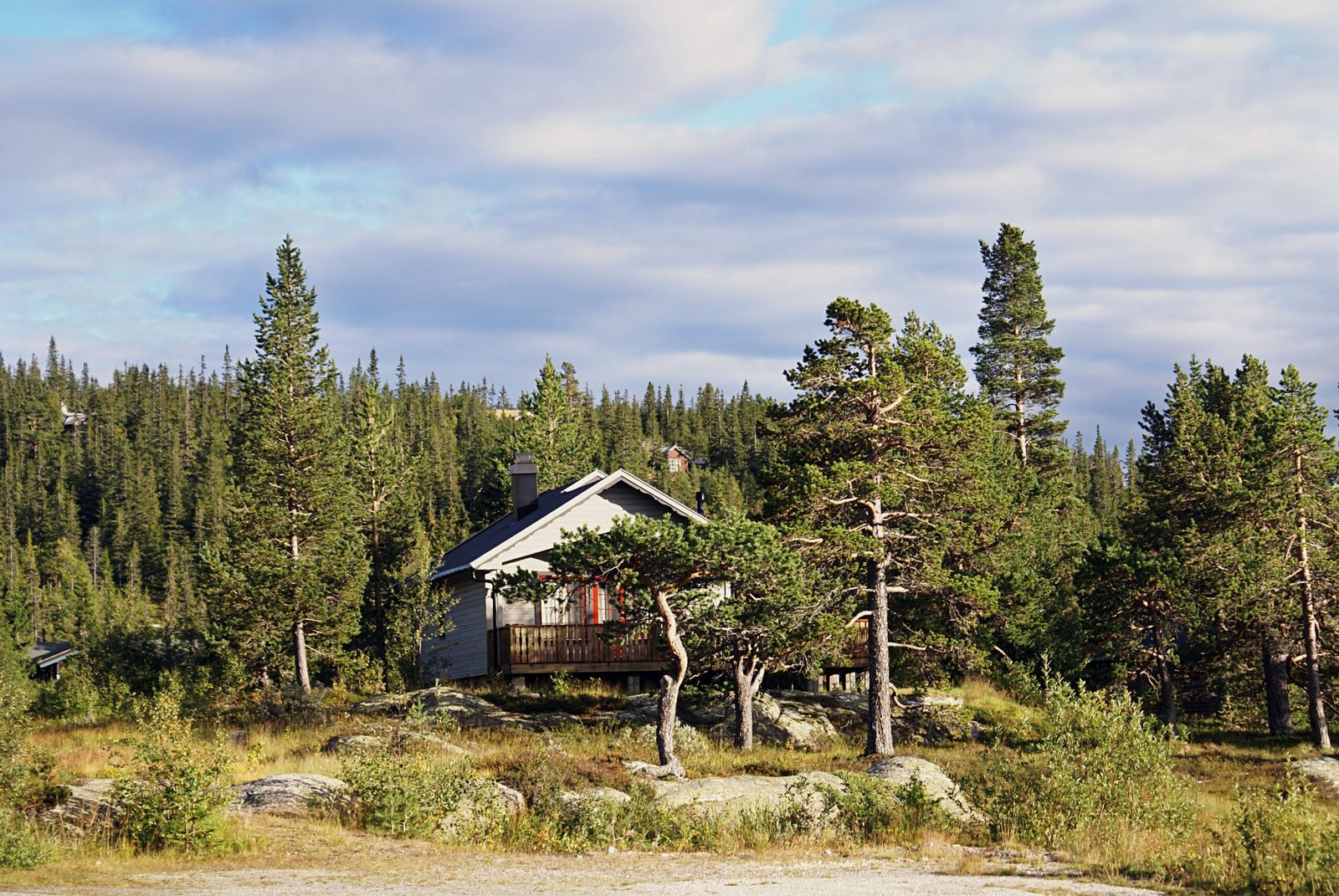 A typical Norwegian rural cottage with breathtaking landscape and beautiful greenery in Norway