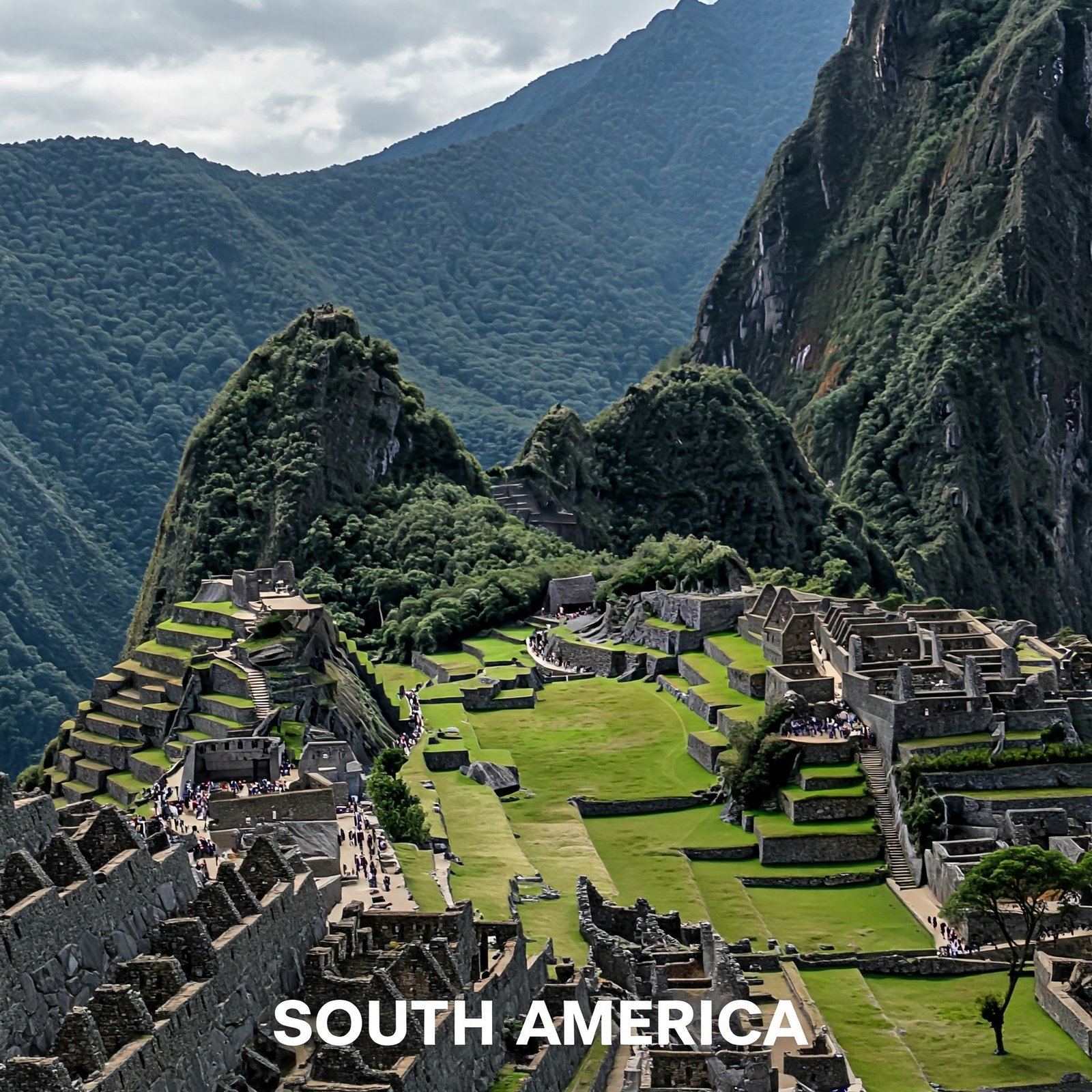 Gemini_Generated_Image_8fsc28fsc28fsc28