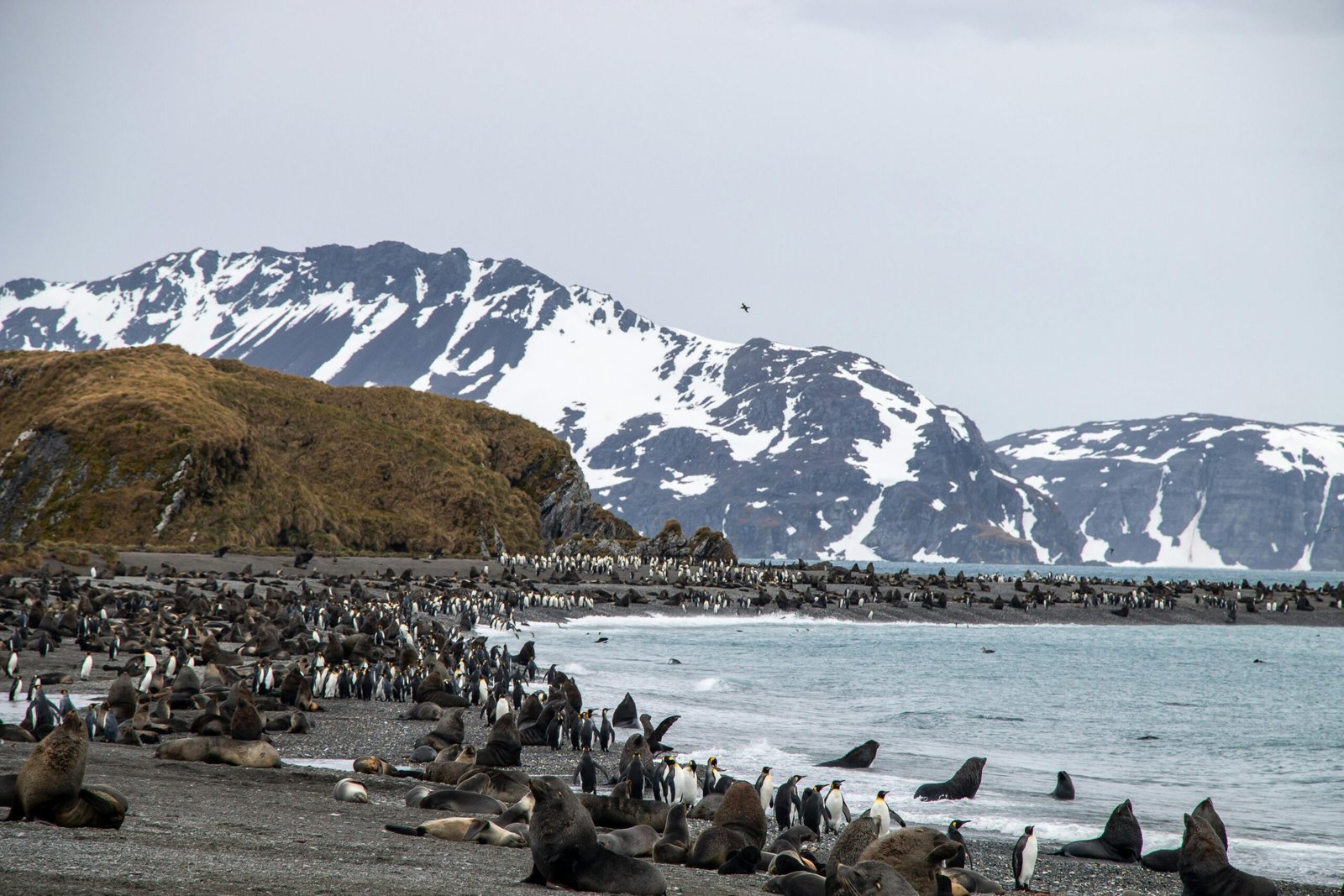 pexels arcticdesire com polarreisen 2147881354 31308021 scaled