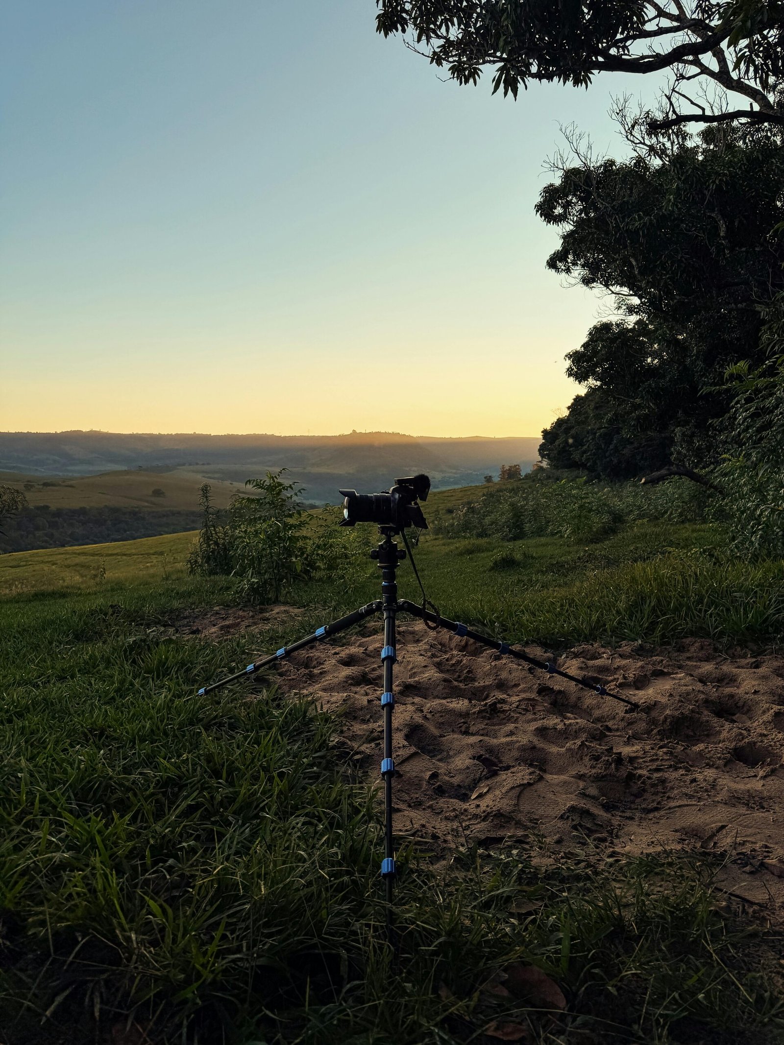 pexels bertellifotografia 31853308 scaled