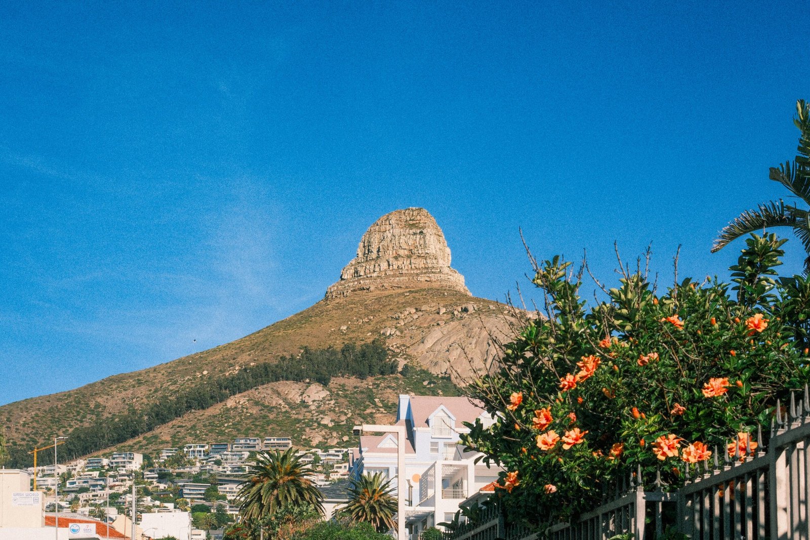 pexels israel luvhimbi 518867264 31786837 scaled