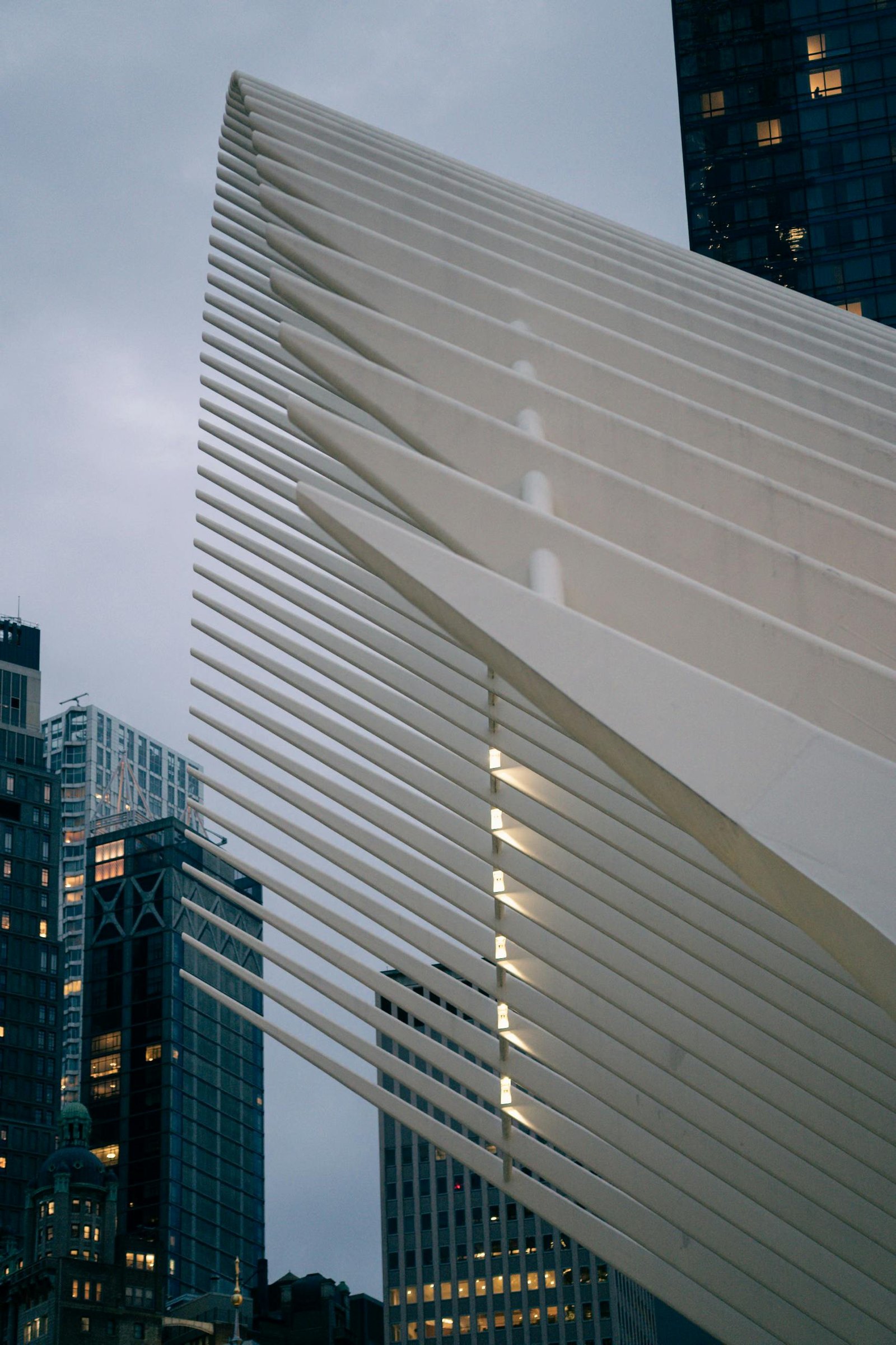 pexels spencphoto 31851307