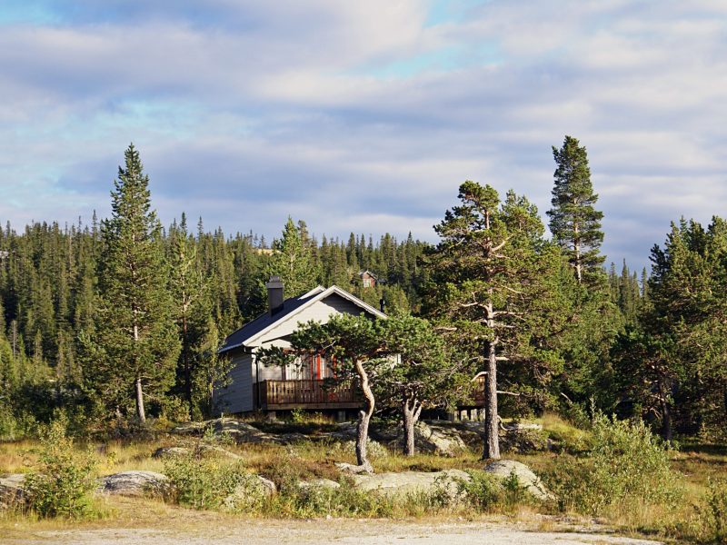 A typical Norwegian rural cottage with breathtaking landscape and beautiful greenery in Norway